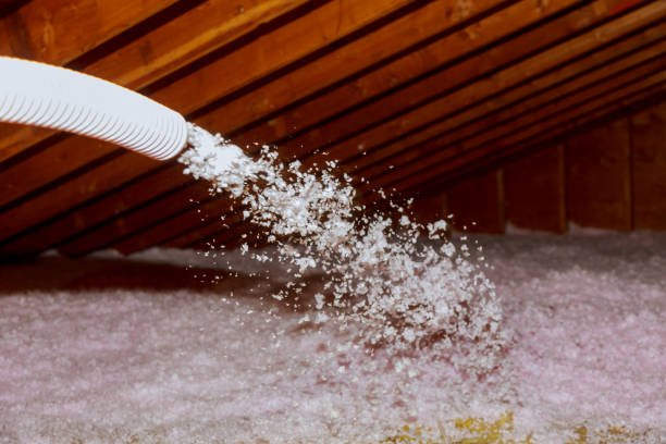 Best Geographic-Specific Insulation Services in Monmouth, IL