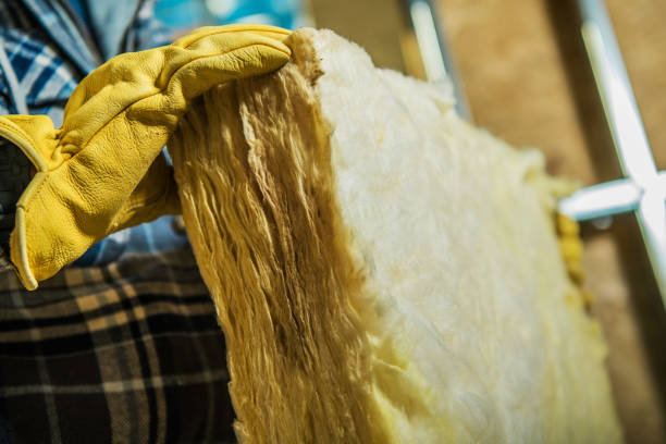 Best Eco-Friendly Insulation in Monmouth, IL